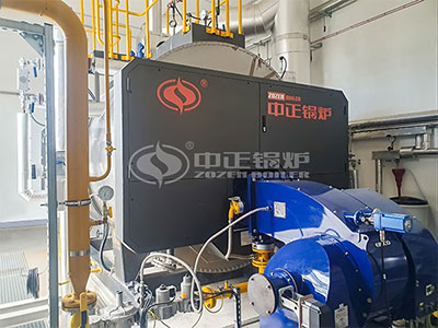 ZOZEN gas boiler is in operation at Dongwha Electrolyte Company's Hungary factory