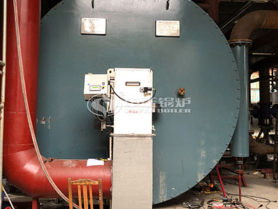 10 million kcal gas thermal oil heater