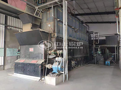 DZL biomass fired boiler site