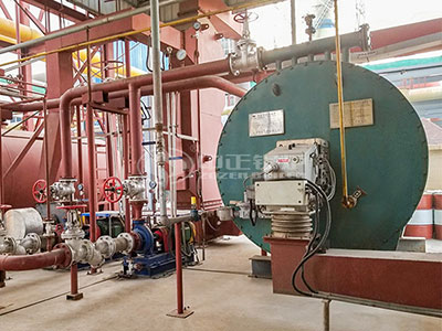 ZOZEN gas-fired thermal oil heater for rubber chemicals.jpg