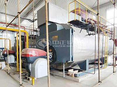 ZOZEN gas-fired boiler of the dairy project