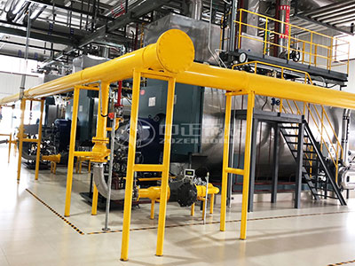 WNS series gas-fired boiler applied in dairy plant