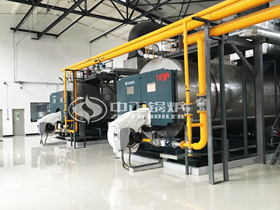 Numerous enterprises give preference to ZOZEN steam boilers