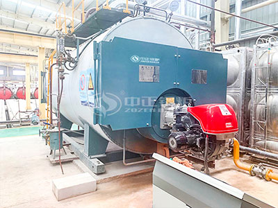 WNS gas-fired steam boiler operating in the customer plant