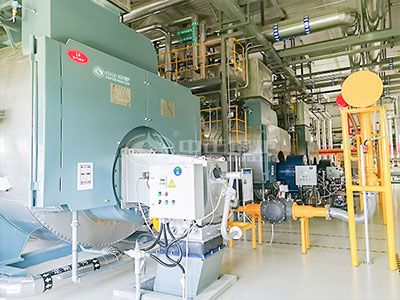 ZOZEN gas-fired steam boiler operating in a diary project