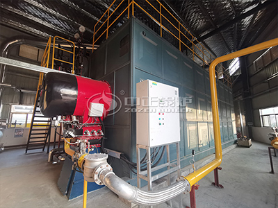 gas-fired boiler is also well received by the industry