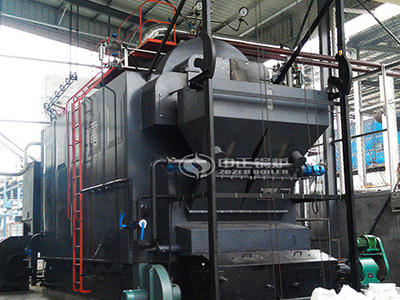 biomass fired boiler project site