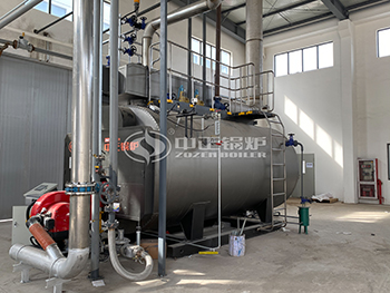 4 Ton 1.25 Mpa Gas Fired Boiler in Food Plant