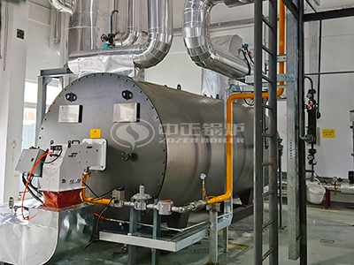 gas-fired thermal oil heater for the multinational enterprise