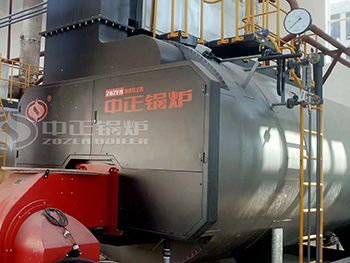 10 Ton Natural Gas Boiler Used in Environmental Product Development