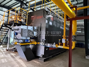 20 Ton Gas Fired Superheated Steam Boiler for Lithium Battery Production