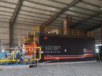 35 Ton Water Tube Boiler Fuel Gas for Chemical Production Line