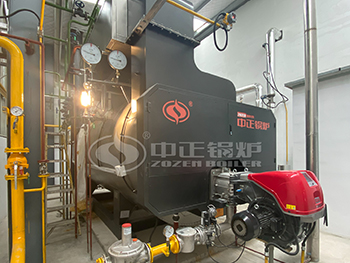 6 Ton Steam Boiler Used in Organic Bentonite Products