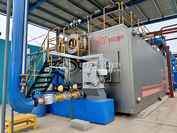 15 Ton Water Tube Boiler Fuel Biogas for Soy Protein Processing