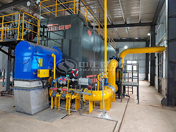 30 Ton Condensing Natural Gas Steam Boiler for Chemical Factory