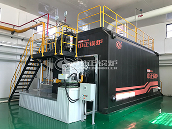 10 Ton 1.6 Mpa Gas Boiler for Paper Mill