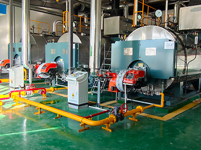 ZOZEN gas-fired boiler provides heat energy for the project