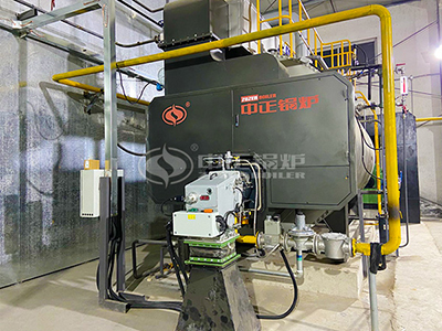 ZOZEN energy-saving 6000kg gas boiler in the customer's plant