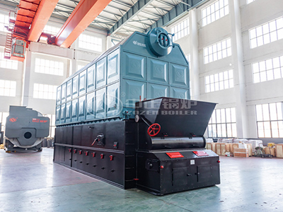 ZOZEN coal steam boiler is favored by the users from Indonesia