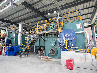 The automatic control system of the biomass boiler