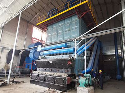 ZOZEN's 40 Ton Biomass Boiler Meets Paper Industry Demands