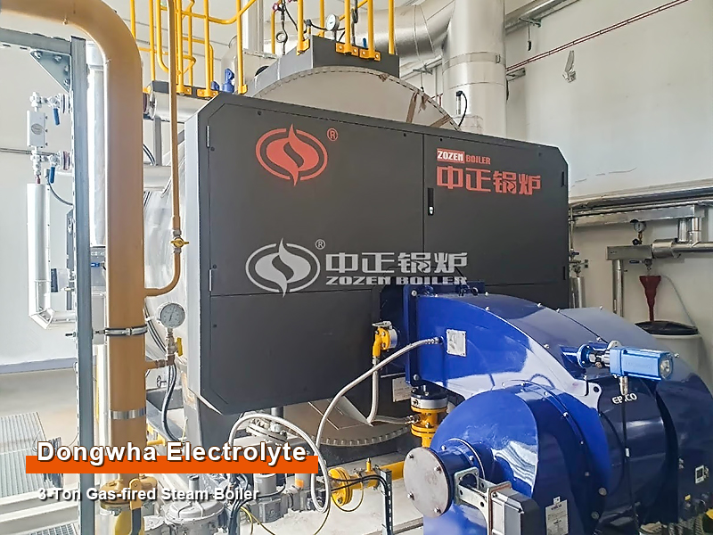 3 Tons Gas-fired Steam Boiler for Hungary Electrolyte Plant