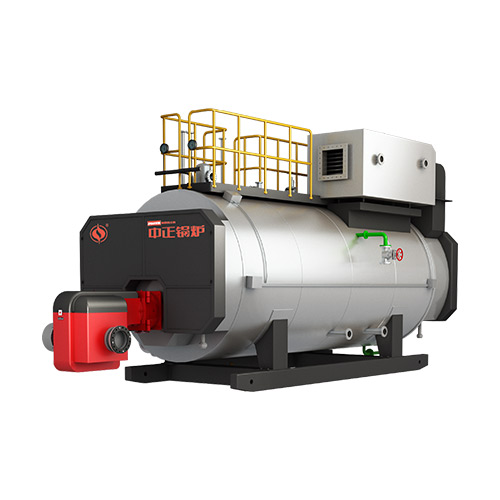 WNS Gas Hot Water Boiler