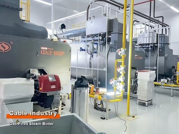 zozen new industrial boiler.jpg