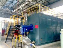 25T SZS Gas Fired Steam Boiler for Heating Industry