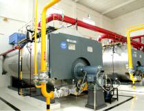 Gas(oil) fired hot water boiler