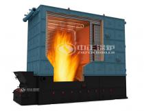 YLW 6MW Coal Fired Thermal Oil Heater