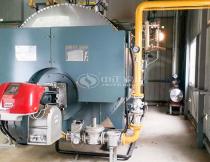 5 tons gas fired steam boiler in nigeria