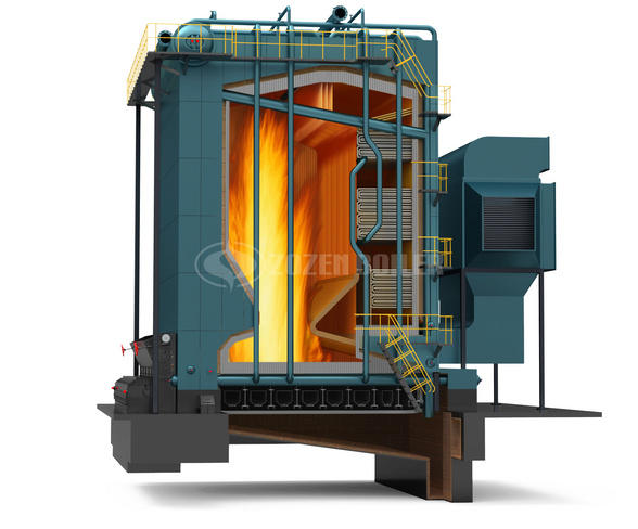 DHL-series-biomass-fired-steam-boiler.jpg