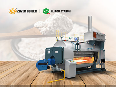 wns gas-fired steam boiler for food industry