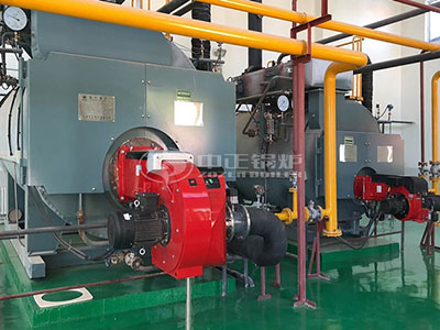 eco-friendly condensing gas steam boiler